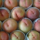 정호진농장 이미지