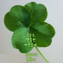(유)비젼