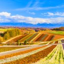 이례농장 | 6월의 삿포로 여행기 (🗓️Day 2)