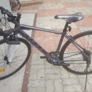 일렉스타 알톤 이미지