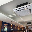 금초한의원 | 대치동 롤링파스타 영업 첫날 솔직 후기