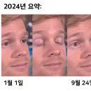 [서울, 종로] 서도호:스페큘레이션스 전시, 아이노가든키친, 인왕산 대충유원지 카페 방문후기