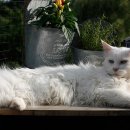 하도 조은 | 다시태어나고싶지않아관람후기 ｜나고야 ｜극단오아키리미깡