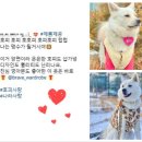 용맹한옷장