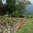 장흥 달바위펜션 이미지