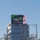 애드벤쳐주 이미지