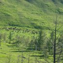 저수지목장 이미지