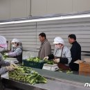 만인산농협 산지유통센터 이미지