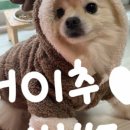 푸라닭 광주광천점 이미지