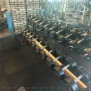 엑스 짐 이미지