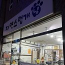 자연스럽개 냥 네이버블로그