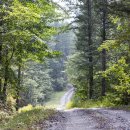 가야여행사㈜ 이미지