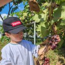 정후농장 이미지