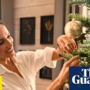 so tree farm 이미지