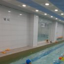 아쿠아키즈 이미지