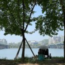 세븐일레븐 한강광나루2호점 이미지