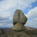 은수상회 Daum카페