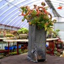 월금농장 이미지