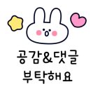 닥스구두신세계백화점
