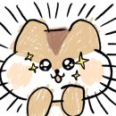 아임 파인 피그(I'm Fine Pig ) 이미지