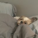 신협 우산본점 | 신한은행필기/기업은행필기/또제주/그리고또제주/번아웃