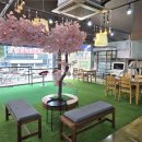 안경백화점 터미널점 이미지