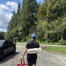 매일농원 | 천안아산 근교여행 가볼만한곳 오픈런없이 극성수기 주말 방문한 원골농원 물놀이와 평상이용 및 취사후기