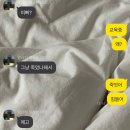 살롱디 이미지