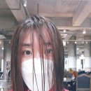 미용실] 청담동 최대규모 미용실💇🏻 💜JOY187 단발💁🏻 레이어드컷💜으로 단정한 헤어로 변신❗(이유 부원장님)
