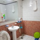 하모리-35 이미지