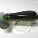 살랑더테일 이미지