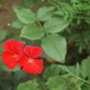 보성여자고등학교 이미지