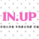 인업 이미지