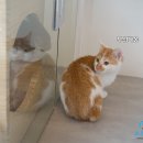 오즈동물병원 이미지