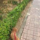 다가온 동물병원 이미지