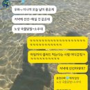 수원 일월먹거리촌 맛집 ‘통닭발상회’ / 구운동 맛집