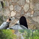 원조배신석쇠불고기본점 이미지