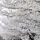 후천교~상산교 이미지