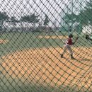 을숙도 리틀야구장 이미지