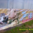 녹색목장 이미지