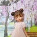 인형#요기요 이미지