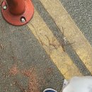 컴포즈커피창원용지점