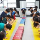 백호합기도 이미지