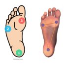 SNPE바른자세 이미지