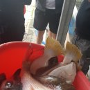 누리모터스 이미지