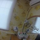 정동진 수영장 있는 저렴한 이프 게스트하우스 가격 및 후기