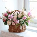 영플라워 이미지