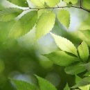 더자람학원 이미지