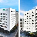 영바이오텍 이미지