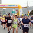 탐진강변 일원 이미지